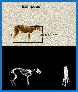 A Eurásia tinha cavalos, mas as Américas não. As culturas andinas tinham  lhamas, no entanto. Teria sido viável usar a criação seletiva para obter um  animal com utilidade semelhante à do cavalo? 